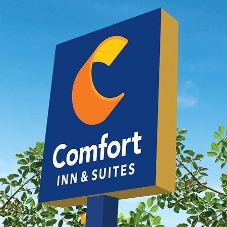 Comfort Inn & Suites Newark Liberty International Airport 外观 照片